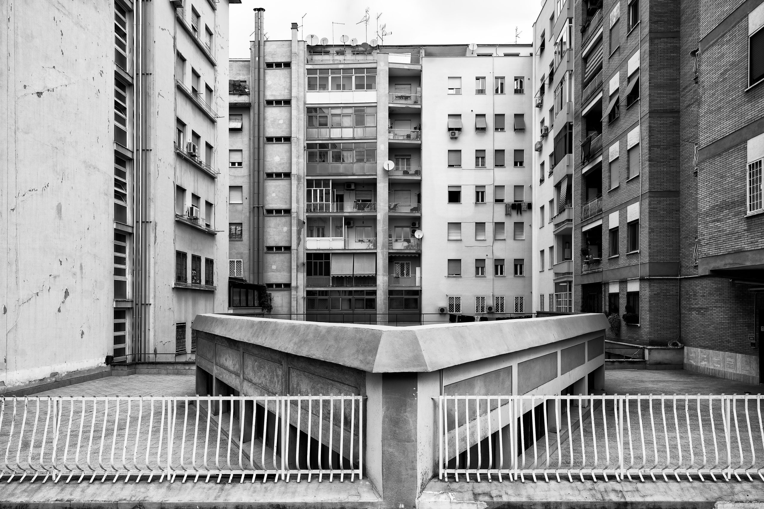 DSC08801_bw